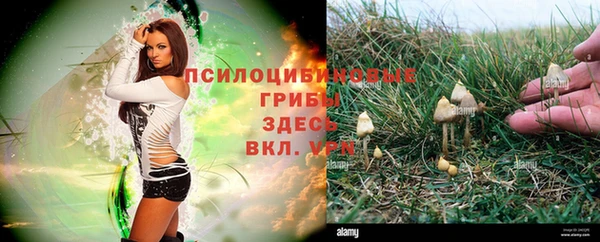 мет Алзамай